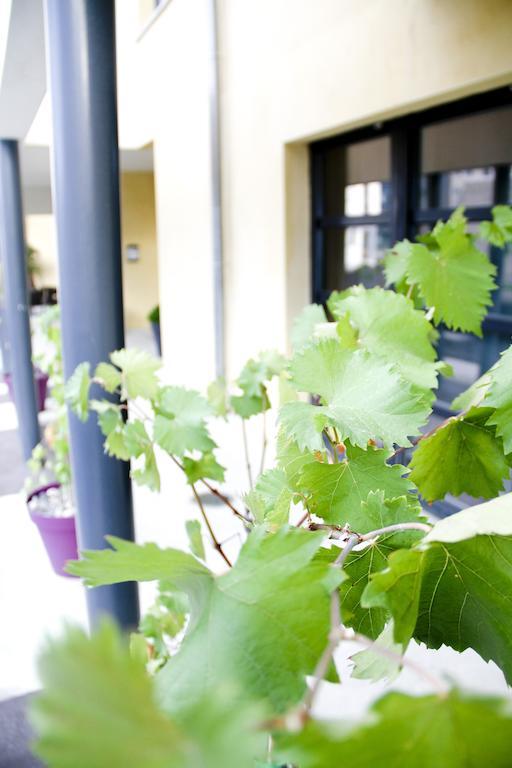 Park Wilson Airport Aparthotel Colomiers Buitenkant foto